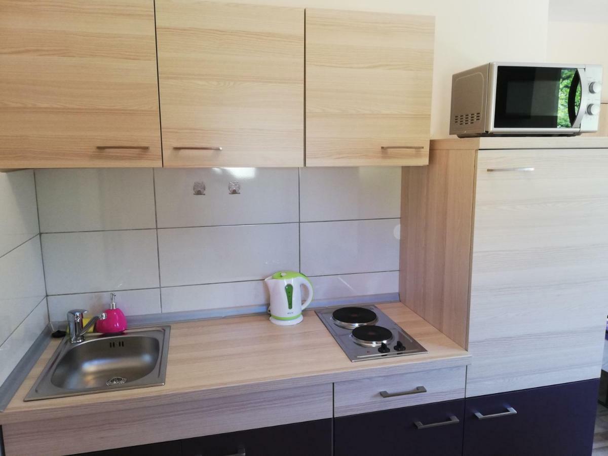 Studio Apartment Palmira Ližnjan Kültér fotó